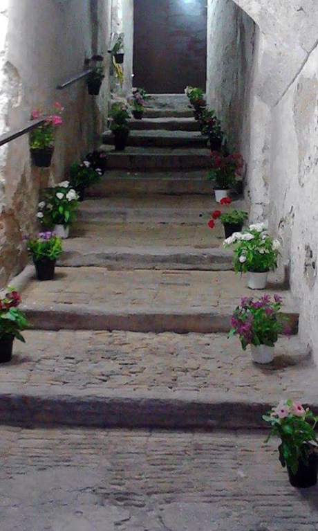 TARANTO. Piante e fiori in Città Vecchia per restituirle la dignità che merita