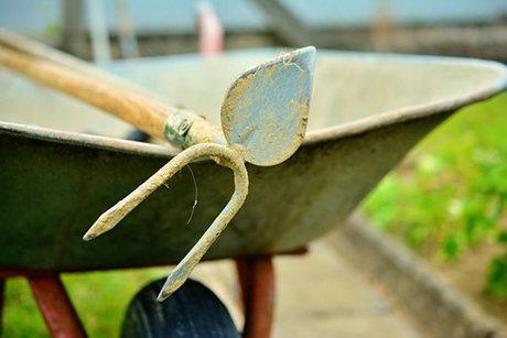 Grottaglie. PROGETTO VERDE SOCIALE. “OPPORTUNITÀ LAVORATIVA per sei lavoratori/trici residenti nel nostro Comune”. Le selezioni sono a cura dell’Associazione Noi e Voi