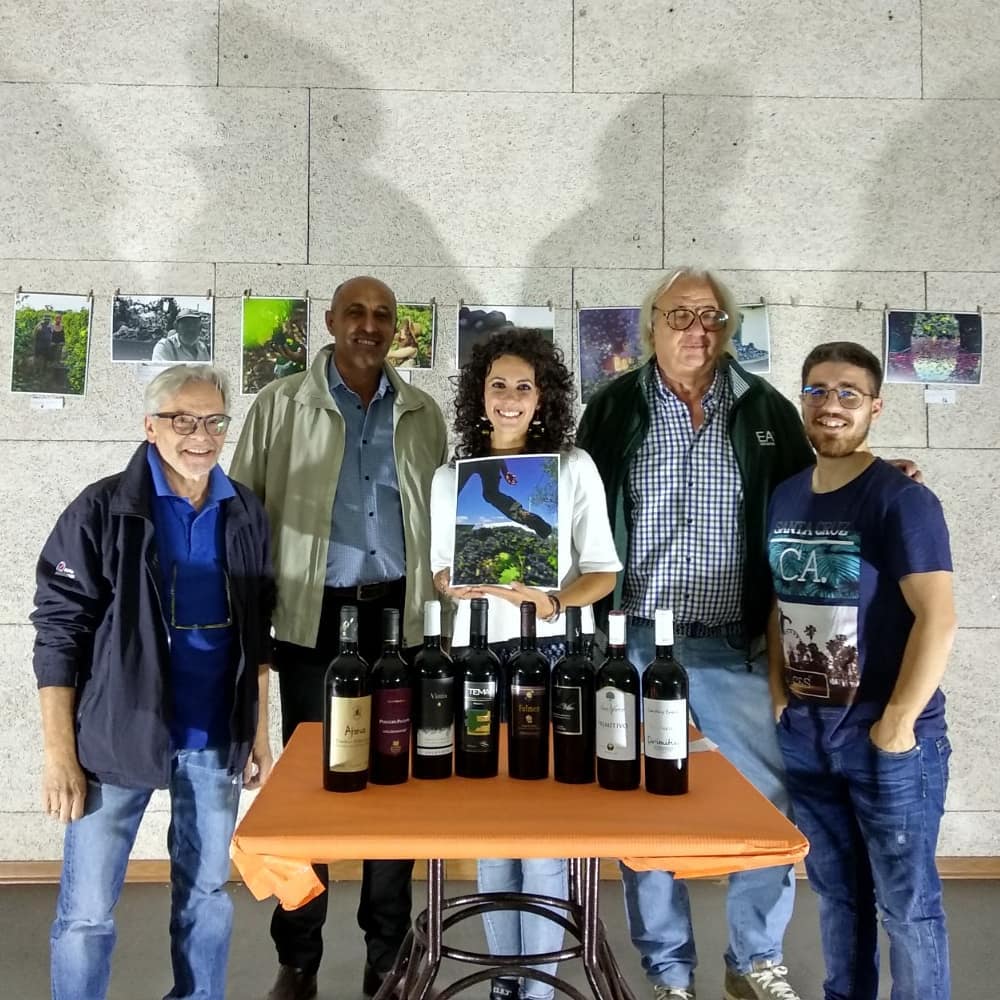 SAVA. Contest fotografico e letterario “INTO THE WINE 2020 – 6° edizione”